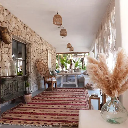 Ipunga Ibiza - Adults Only-3
